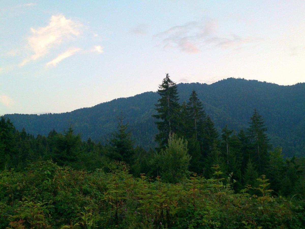 Mountain Resort Gantiadi Borjomi ภายนอก รูปภาพ