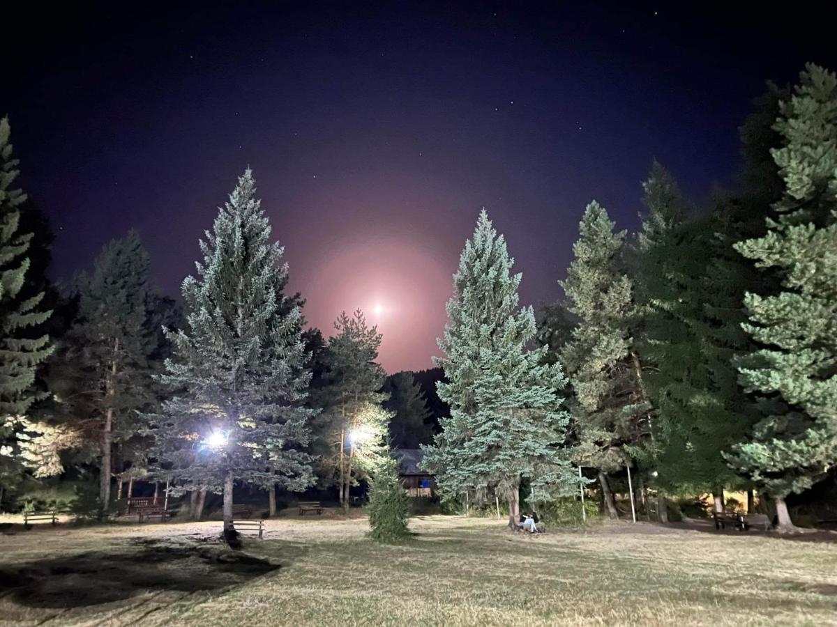 Mountain Resort Gantiadi Borjomi ภายนอก รูปภาพ