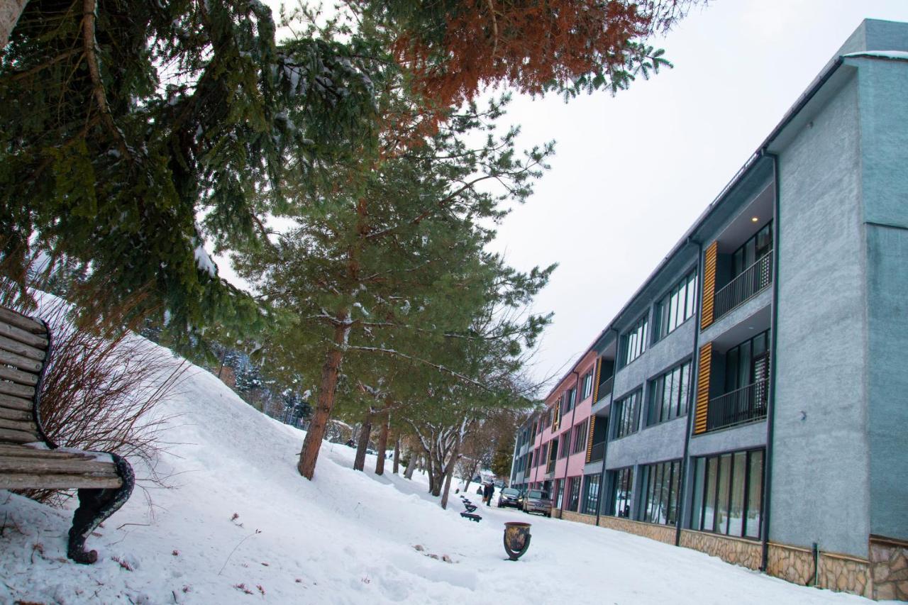 Mountain Resort Gantiadi Borjomi ภายนอก รูปภาพ